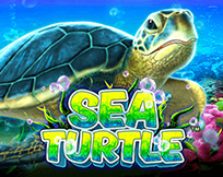 Sea Turtle